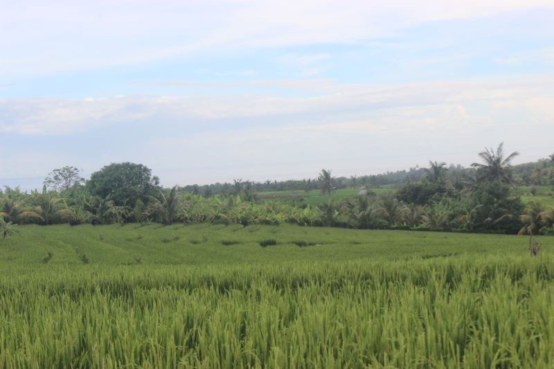 land for sale in Bali