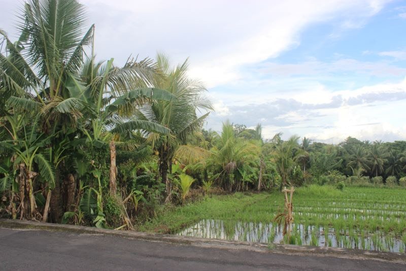 tanah dijual di bali