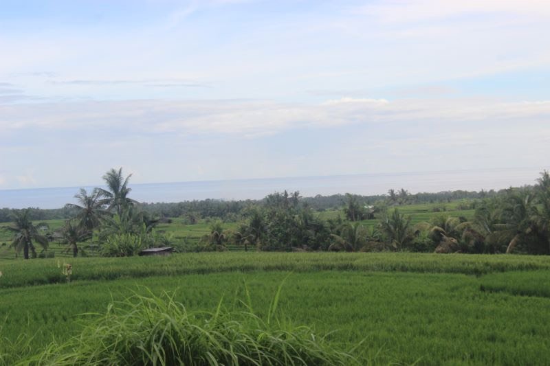 land for sale Bali